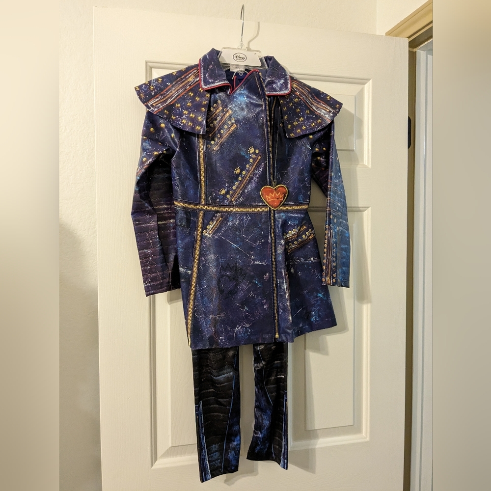 Disney Descendants Costume